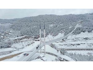 Yaz aylarında ziyaretçi akınına uğrayan asma köprü çöktü