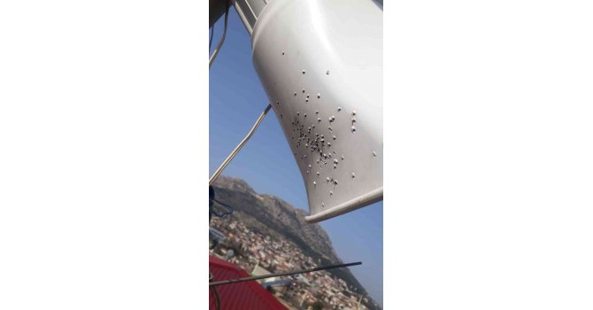 Belediye hoparlörü magandaların hedef tahtası oldu