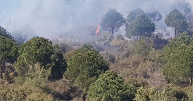 Alanya’da ormanlık alanda yangın
