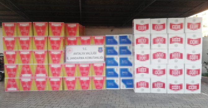 Manavgat’ta 1 milyon 200 bin liralık makaron ele geçirildi