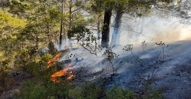 Mersin’de orman yangını, büyümeden kontrol altına alındı