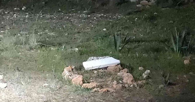 Antalya’da ormanlık alan içindeki mezar polisi alarma geçirdi
