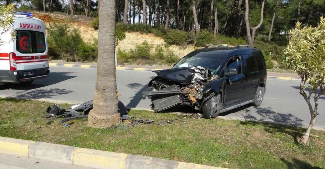 Kontrolden çıkan ticari araç palmiyeye çarptı: 2 yaralı