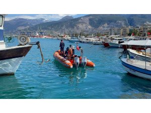 İskenderun’da yaralı halde bulunan deniz kaplumbağası tedaviye alındı