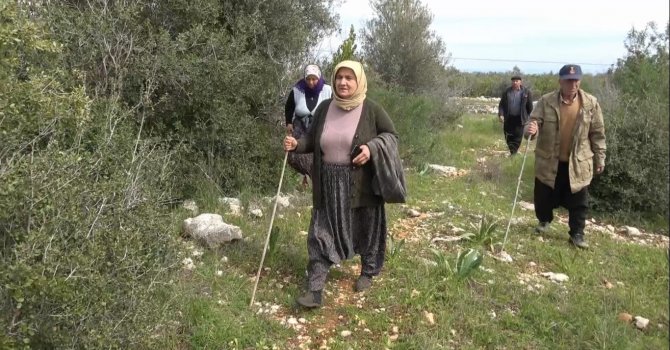 4 gündür kayıp olan 3 çocuk annesi kadın zeytinlikte bulundu