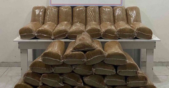 Hatay’da 230 kilogram kaçak tütün ele geçirildi