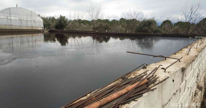 Tarımsal alanları kirleten zeytinyağı fabrikasına 262 bin TL ceza