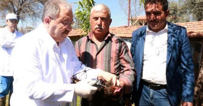 Büyükşehirden aşı  seferberliği başlattı