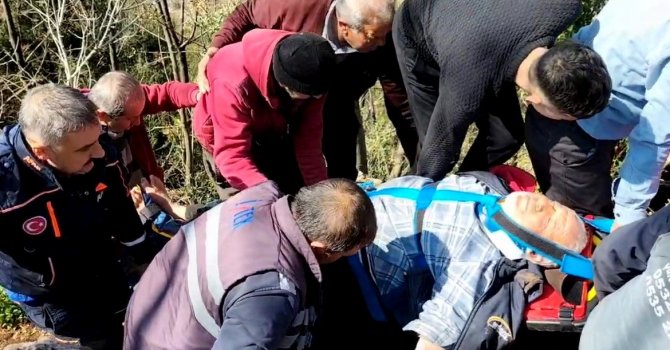 Koyun otlatırken kayalıklardan düştü