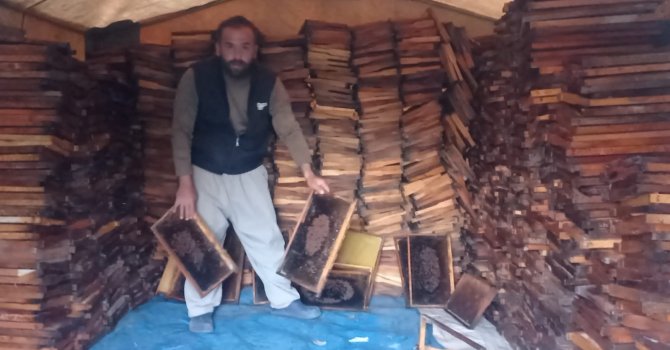 Adana’da 500 kovandaki binlerce arı telef oldu