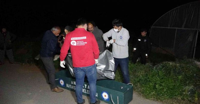 Antalya’da yaşlı adam serada ölü bulundu, ortağı gözyaşlarını tutamadı