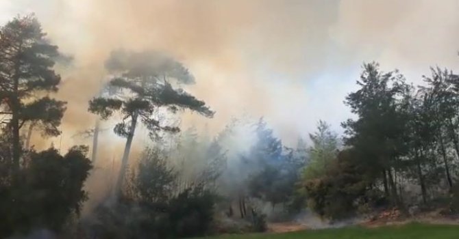 Tarsus’ta orman yangını