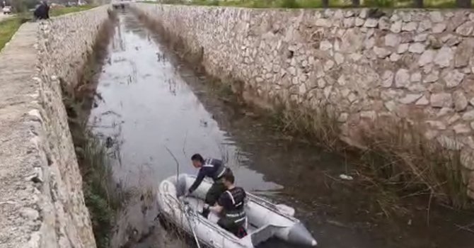 Antalya’da kanala düşen köpek, ekipleri peşine taktı