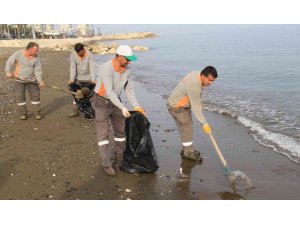 Akdeniz’de kıyılar ölü zehirli denizanalarından temizleniyor