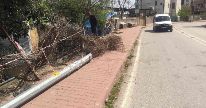 2 yıl önce kazayı kıl payı atlatan köpek bu kez kurtulamadı