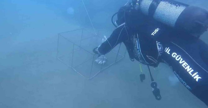 Hatay’da yasa dışı balık avlamada kullanılan 35 kafes ele geçirildi