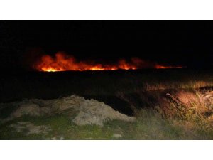 Göksu Deltası’nda yangın