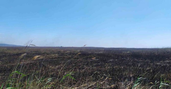 Göksu Deltası’nda çıkan yangın kendiliğinden söndü