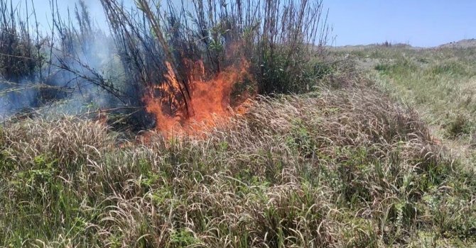 Hatay’da sazlık alanda yangın