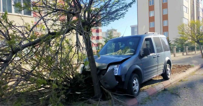 Araç çarptığı ağacı yerinden söktü