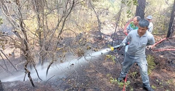 Antalya’da orman yangını büyümeden söndürüldü