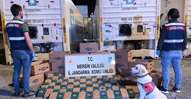 Mersin’de muz kolileri içerisine gizlenmiş 258 kilo kokain ele geçirildi