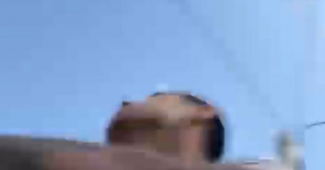 Antalya’da ‘köpeği yolda gezdiremezsin’ kavgası