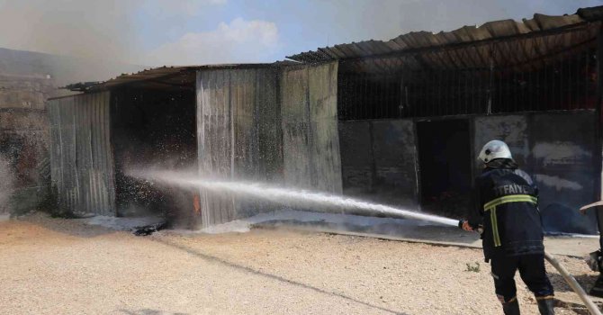 Mobilya imalathanesinde yangın çıktı