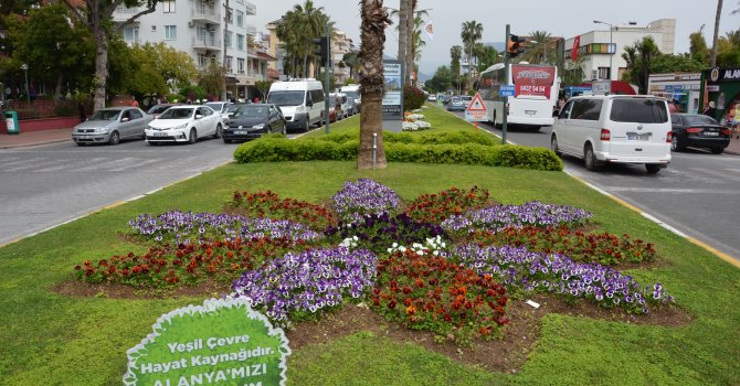 Alanya çiçek açtı