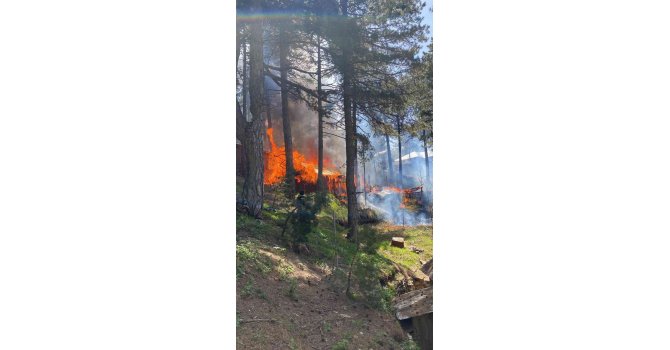 Hatay’da Amanoslar Üçkoz Yaylasında çıkan yangında 5 ev yandı