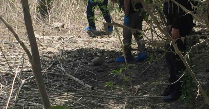 Adana’da kafatası ve insan bedeni parçaları bulundu
