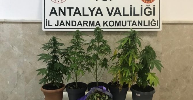 Evde uyuşturucu imal eden 2 şüpheli yakalandı