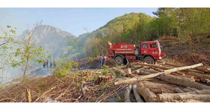 Hatay’da çıkan orman yangını söndürüldü