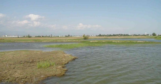 Gölete düşen minik Afra hayatını kaybetti