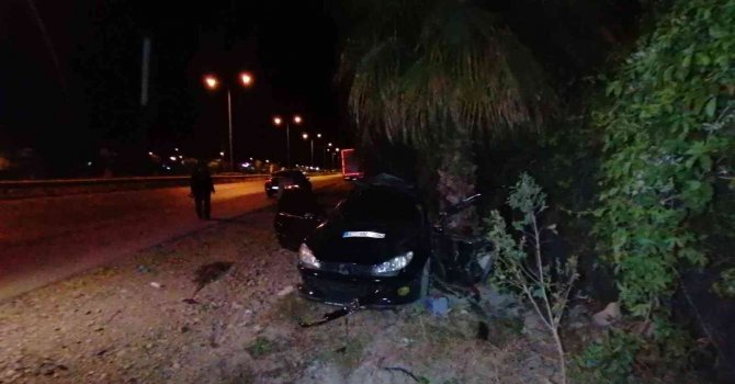 Otomobil takla atıp palmiyeye çarptı: 1 ölü