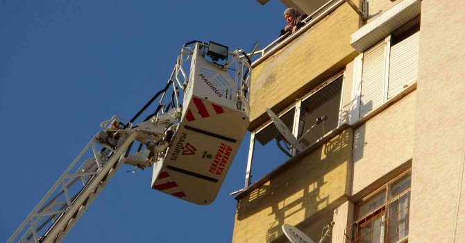 12’nci kattan 11’inci kata düşen kedinin kurtarılmasını film izler gibi izlediler