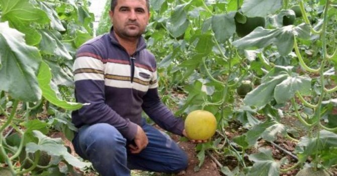 Kumluca’da devrilen traktörün altında kalan sürücü hayatını kaybetti