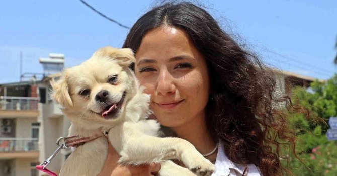 Marketteki köpeğe sebepsiz yere tekme attı, kamera kaydını izleyen genç kadının ağzı açık kaldı