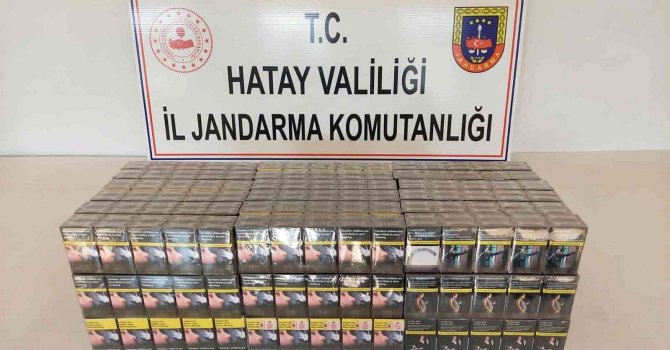 Evde 750 paket kaçak sigara ele geçirildi