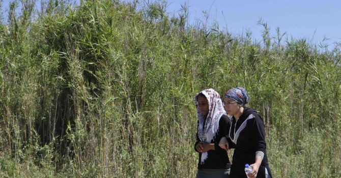 Ceyhan Nehri’nde kaybolan çocuk 3 gündür aranıyor