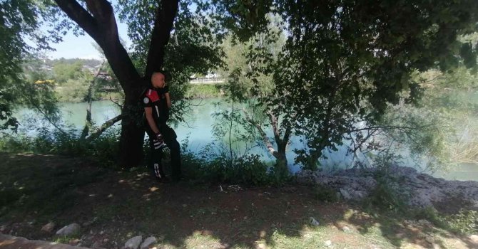 Dengesini kaybedip 2 metre yükseklikten düşen adamı böğürtlen dalları kurtardı