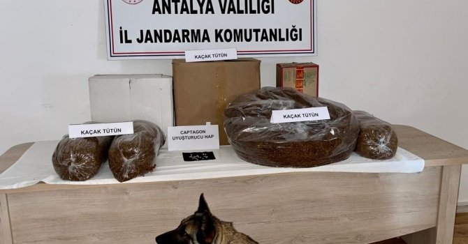 Jandarmadan uyuşturucu madde ve tütün kaçakçılığı operasyonu