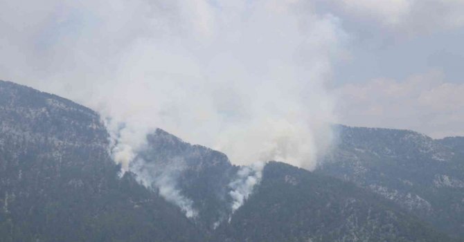 Alanya’da orman yangını
