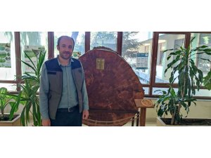 Bu karaçam 18 dünya olayına tanıklık etti