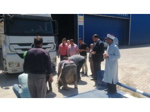 Hatay’da buğday hasadı dualarla başladı