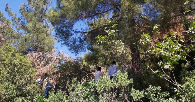 1 aydır kayıptı, ağaçta asılı bulundu