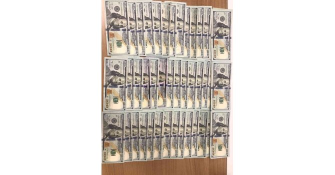 Sahte ABD doları operasyonu:1 tutuklama