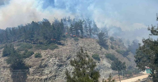 Hatay’da orman yangınına karadan ve havadan müdahale