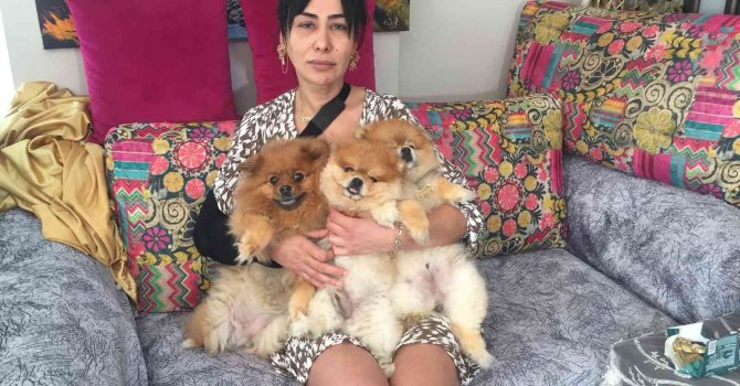 Fide Uyarlar: “Tutuklanmasaydı şimdi benim ölüm haberini yapıyor olacaktınız”