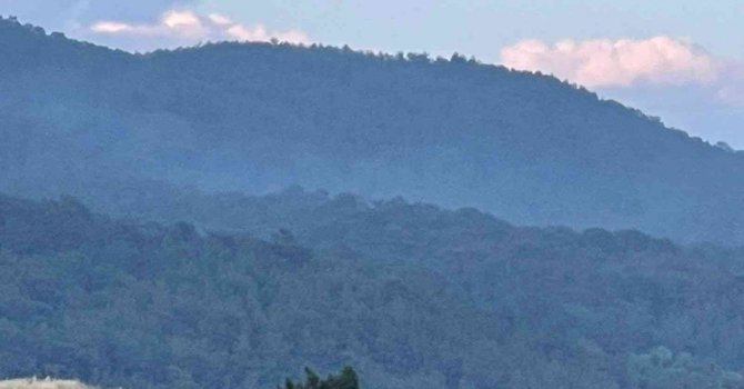 Alanya’da orman yangınında 5 dönüm alan zarar gördü